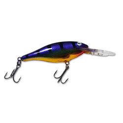 Twilight Zone Custom Rapala Shad #7Rap